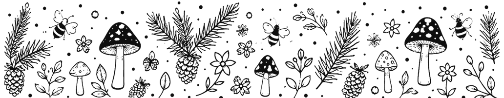 Hand-drawn woodland illustration of mushrooms, ferns, pinecones and bees.